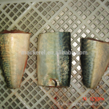 MIGLIORI marchi Frozen Fish Mackerel HGT per Canx